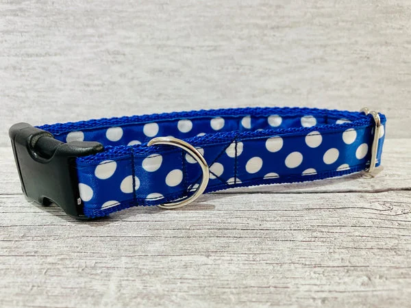 Royal Blue and White Spots Dots Dog Collar 1