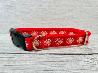 Red Daisy Dog Collar 1