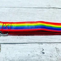 Colourful Rainbow Dog Collar 2