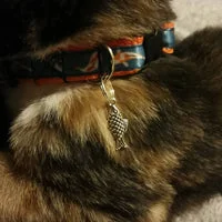 Koi Fish Cat Collar 6