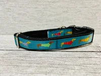Teal Dachshund Daxie Jumper Dog Collar 2