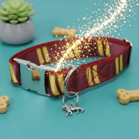 Wizard School Tie Dog Collar 1