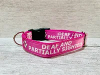 Personalised Dog Collar - Your Design, Any Text 11