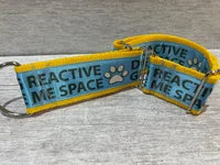 Personalised Dog Collar - Your Design, Any Text 16