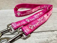 Personalised Dog Collar - Your Design, Any Text 10