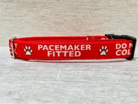 Personalised Dog Collar - Your Design, Any Text 5