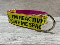 Personalised Dog Collar - Your Design, Any Text 12