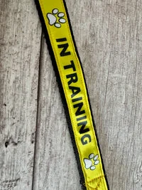 In Training Alert Short Extension Dog Lead | UK 3