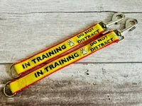 In Training Alert Short Extension Dog Lead | UK 5