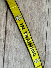 In Training Alert Short Extension Dog Lead | UK 2