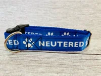 Neutered Dog Collar 1
