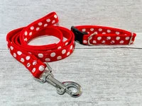 Red Polka Dot Ribbon Dog Lead 3