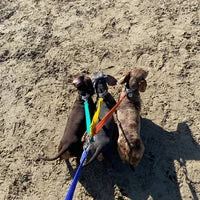 Adjustable Dual Leads 8