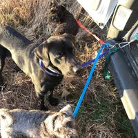 Adjustable Dual Leads 7