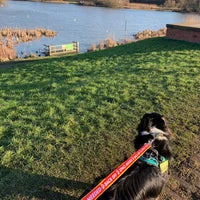 Back Off - Space Needed Dog Lead 7