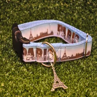 Paris Skyline Dog Collar 3