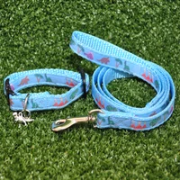 Dinosaur T-Rex Jurassic Puppy & Small Dog Collar - Handmade in the UK 5