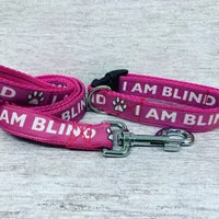 I Am Blind Dog Alert Collar 2