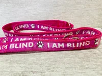 I Am Blind Dog Alert Collar 6