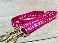 I Am Blind Dog Alert Collar 12