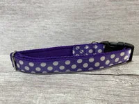Purple and White Polka Dot Dog Collar 2