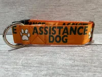 Assistance Dog Collar - Handmade in the UK 1