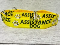 Assistance Dog Collar - Handmade in the UK 13