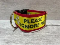 Please Ignore Alert Dog Lead 7