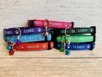 Personalised Puppy Collar with Custom Name and Contact Details 1