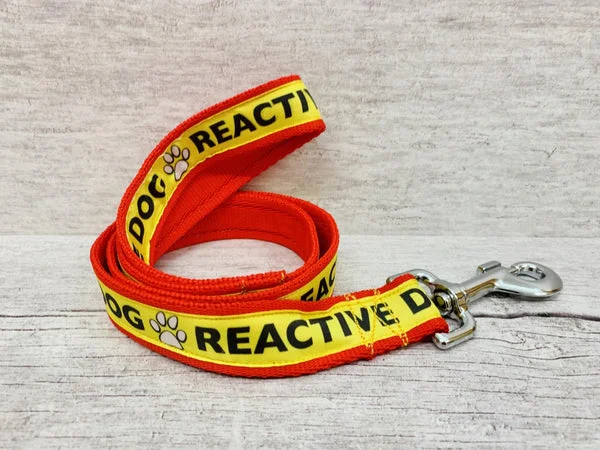 Reactive Dog Lead