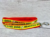 Reactive Dog Lead 3