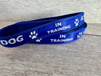 In Training - Assistance Dog Alert Dog Lead 12