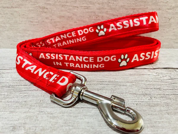 In Training - Assistance Dog Alert Dog Lead