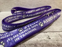 In Training - Assistance Dog Alert Dog Lead 5