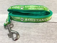 In Training - Assistance Dog Alert Dog Lead 9