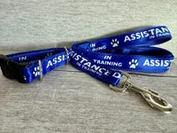 In Training - Assistance Dog Alert Dog Lead 14