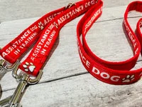 In Training - Assistance Dog Alert Dog Lead 7