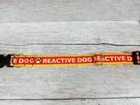 Reactive Dog Alert Collar - Handmade in the UK 1