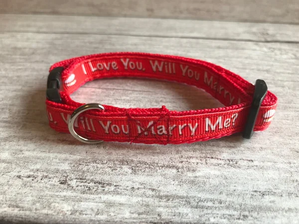 Marriage Wedding Puppy Collar Will you Marry Me? Collar