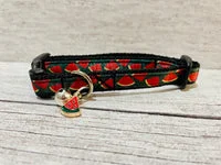Watermelon Puppy/Small Dog Collar 14