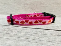 Watermelon Puppy/Small Dog Collar 9