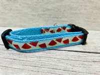 Watermelon Puppy/Small Dog Collar 11