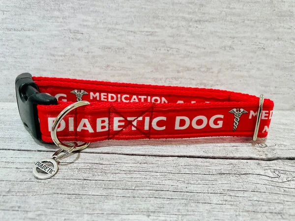 Diabetic Medical Alert Dog Collar