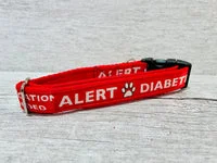 Diabetic Medical Alert Dog Collar 2