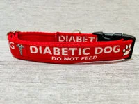 Diabetic Medical Alert Dog Collar 4