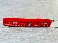 Addison Disease Medical Alert Dog Collar 4
