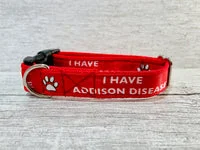 Addison Disease Medical Alert Dog Collar 2