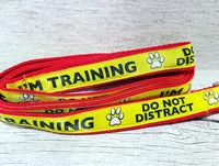 I'm Training Do Not Distract Ribbon Alert Dog Lead 4
