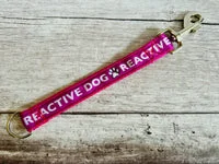 Give Me Space Alert Short Extension Dog Lead | UK 21