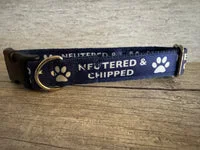 Neutered and Chipped Dog Collar 7